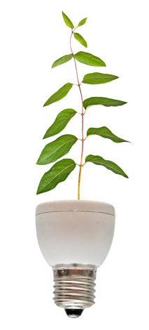plant-lamp-temp