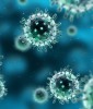 viruses