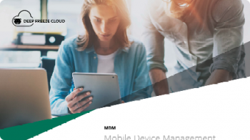 Deep Freeze MDM